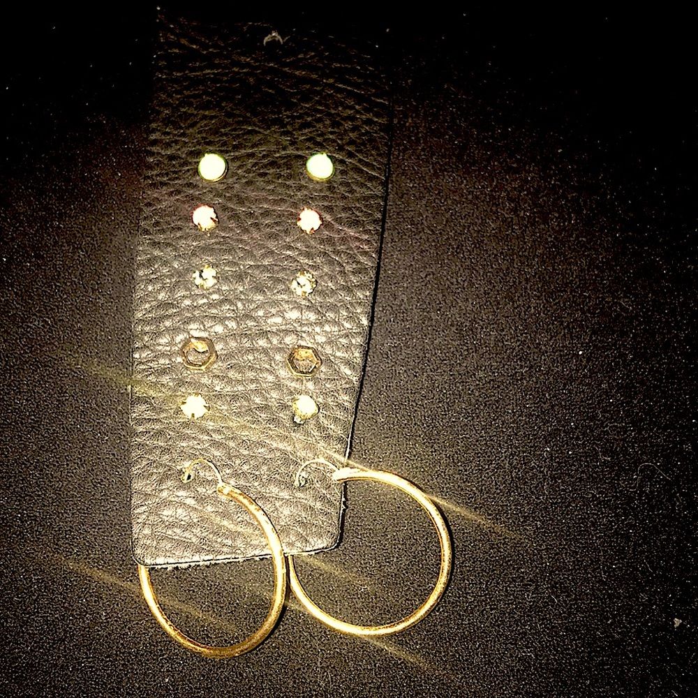 Elegant Gold Hoop Earrings